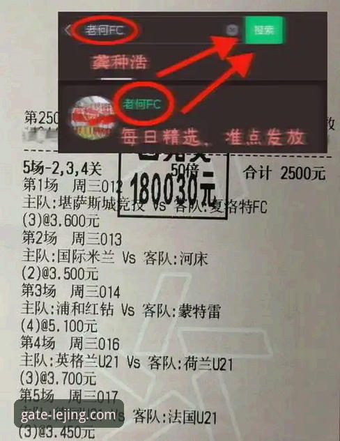 乐竟官网怎么登录 阿根廷新星重伤无缘世界杯,乐竟体育平台赛事信息深度评测